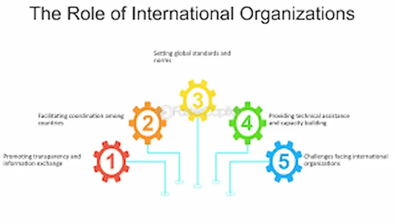 role of international organizations